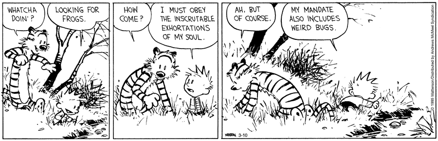 Calvin and Hobbes