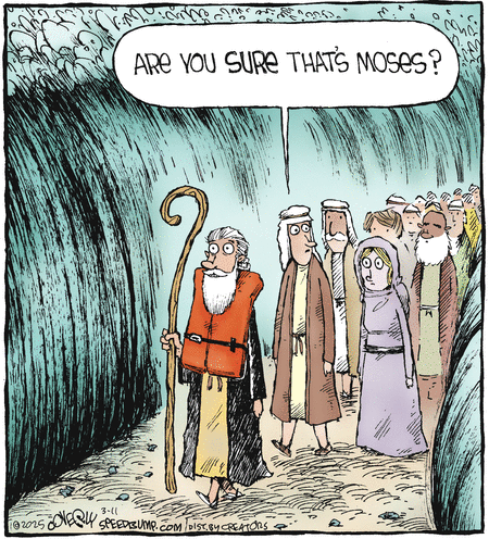Speed Bump