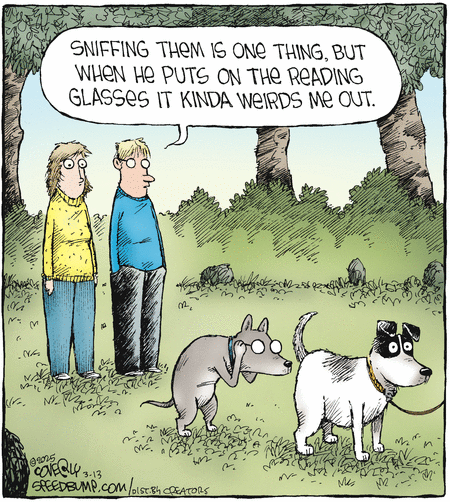 Speed Bump