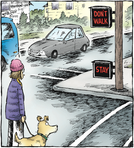Speed Bump