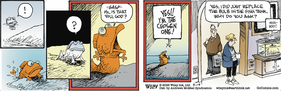 Non Sequitur