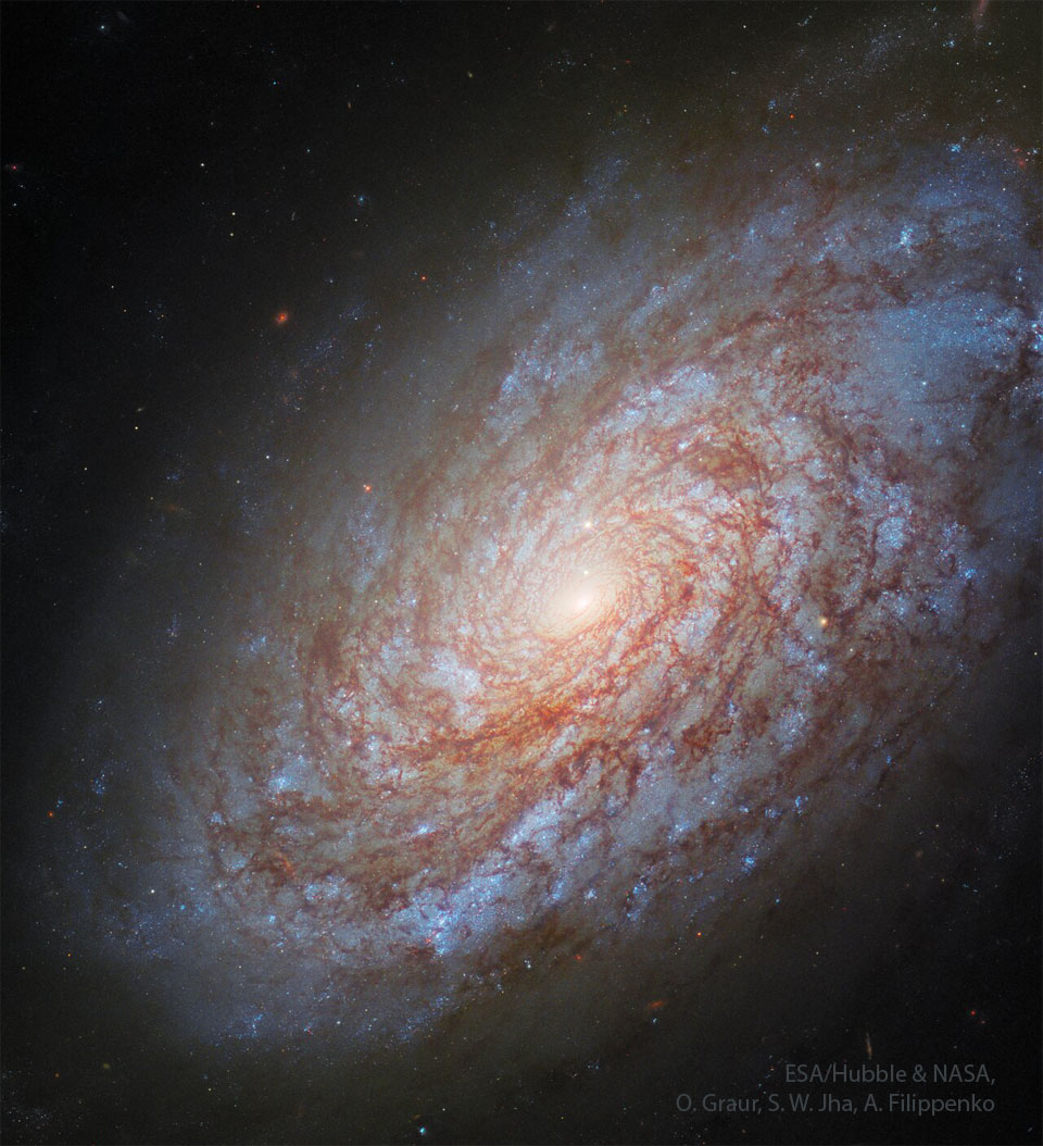Astronomy Picture of the Day