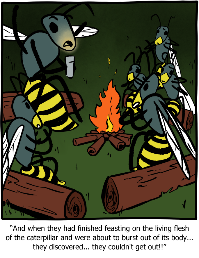 Saturday Morning Breakfast Cereal