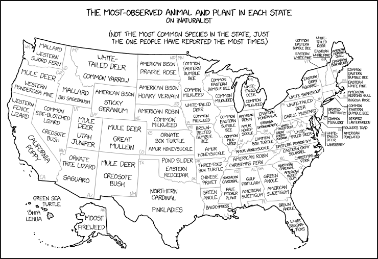 xkcd