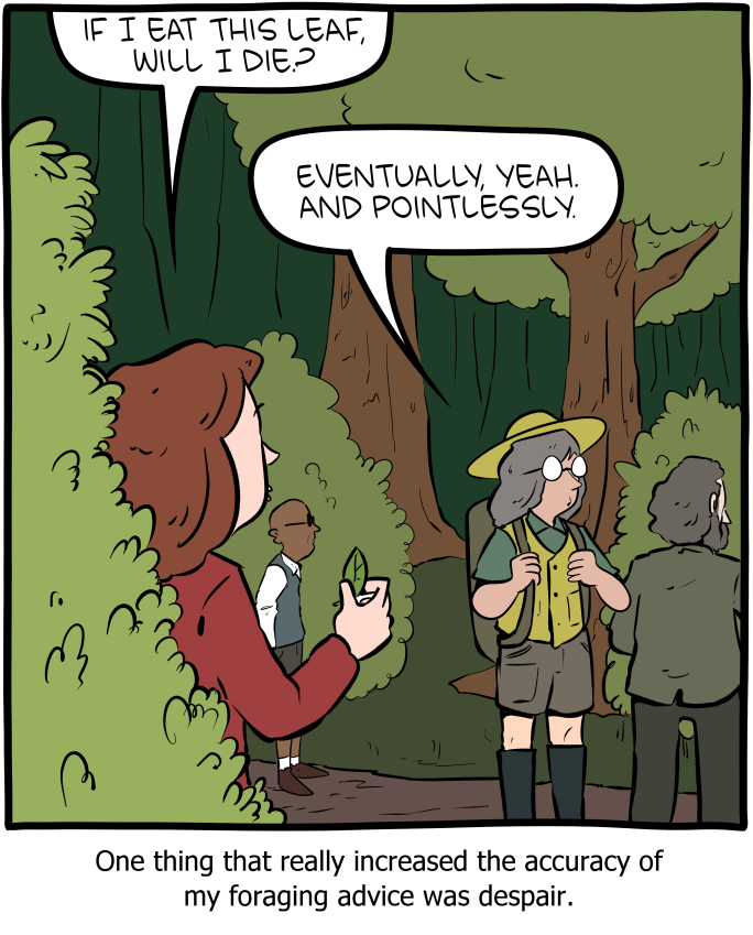 Saturday Morning Breakfast Cereal