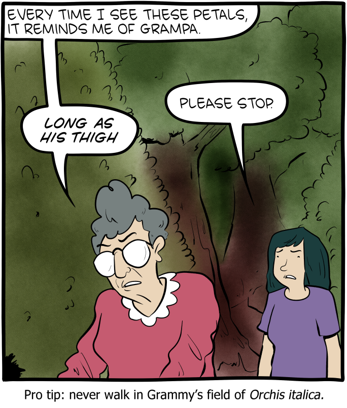 Saturday Morning Breakfast Cereal