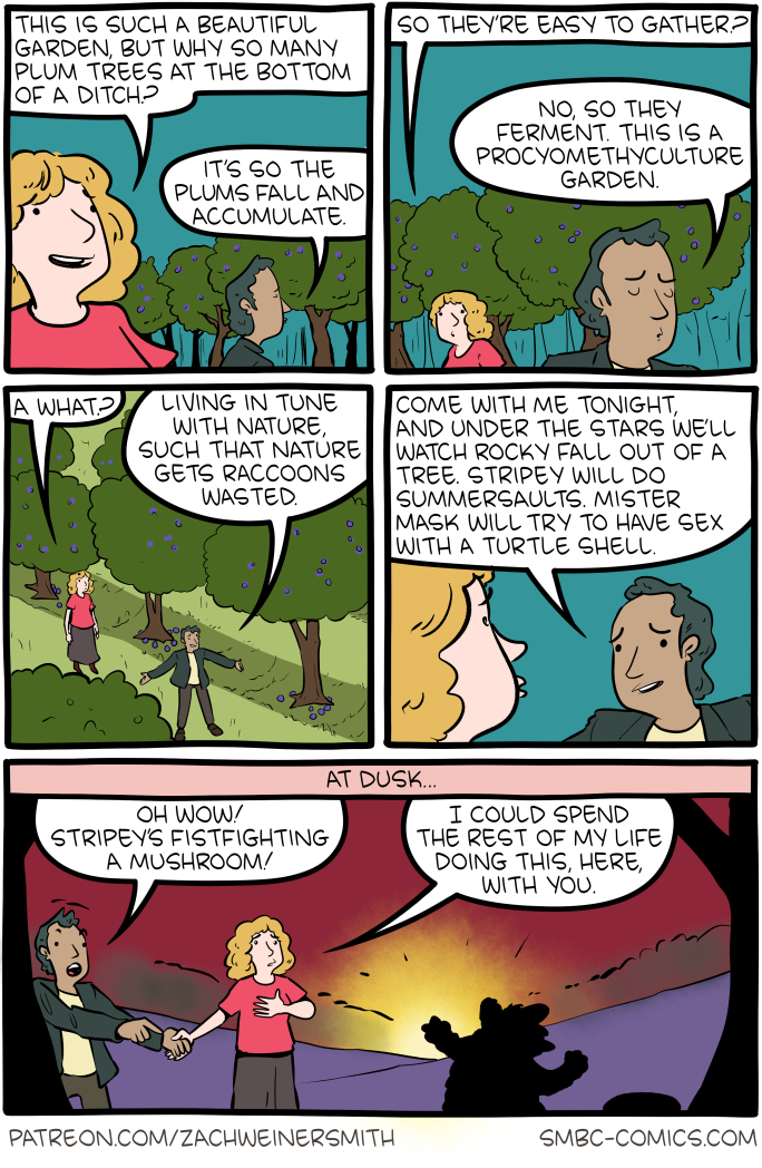 Saturday Morning Breakfast Cereal