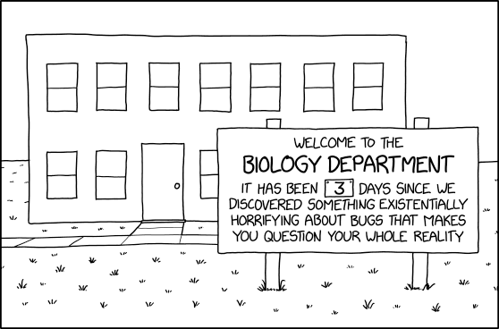 xkcd