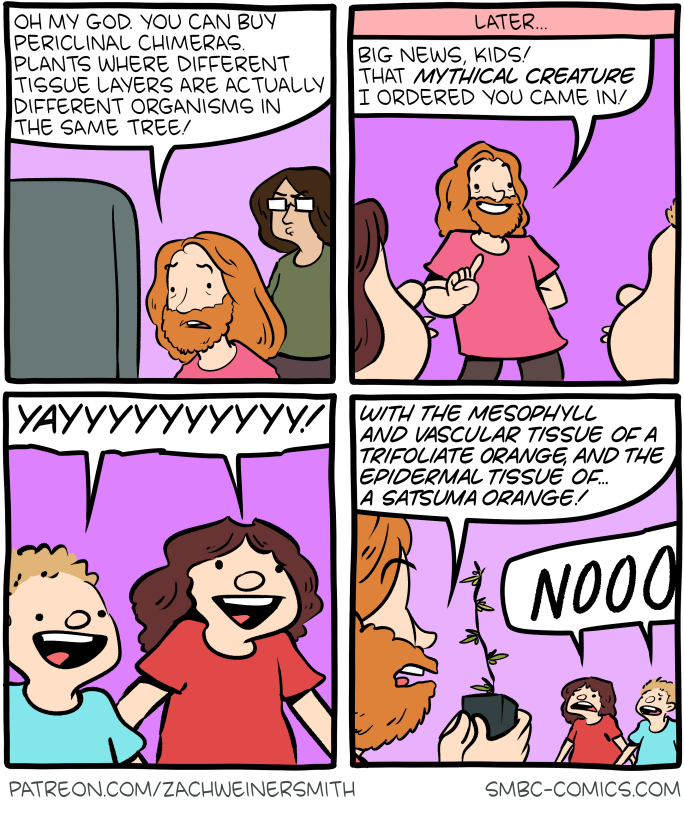 Saturday Morning Breakfast Cereal