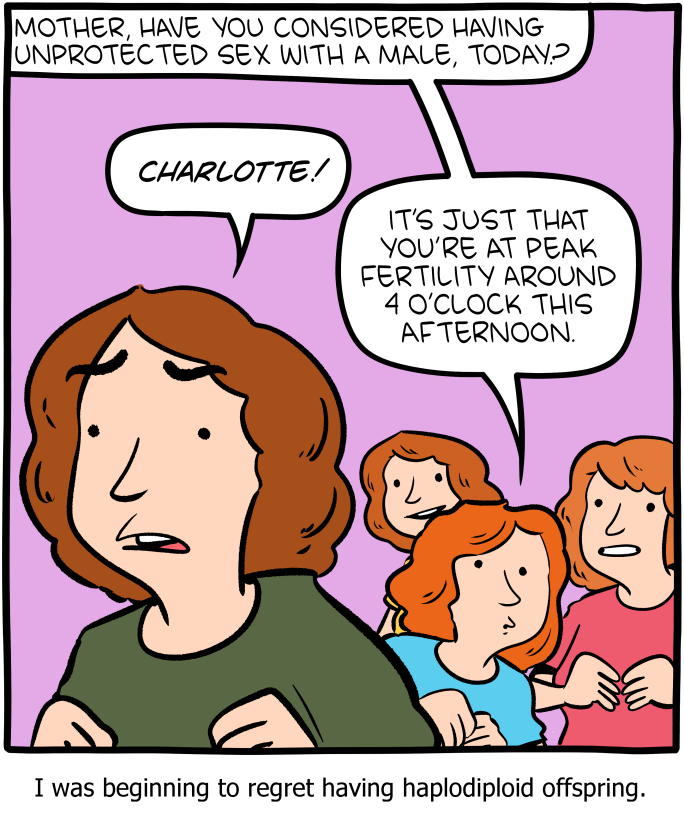 Saturday Morning Breakfast Cereal