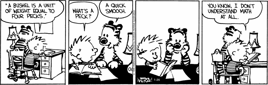 Calvin and Hobbes