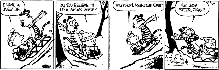 Calvin and Hobbes