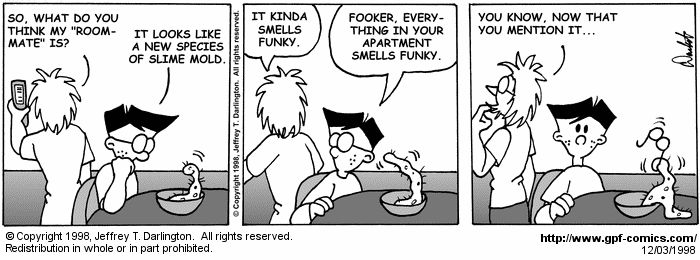 General Protection Fault