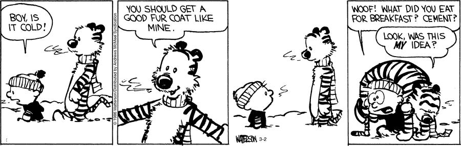 Calvin and Hobbes