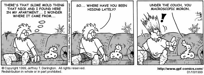 General Protection Fault