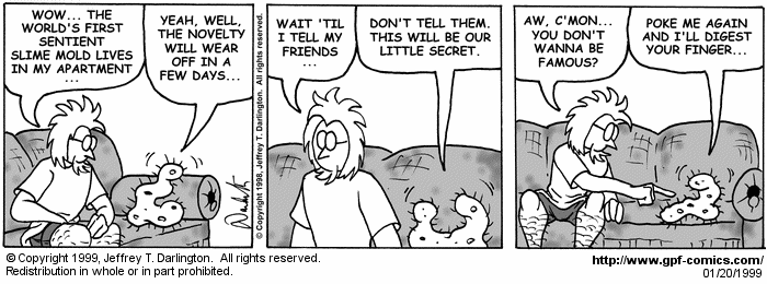 General Protection Fault