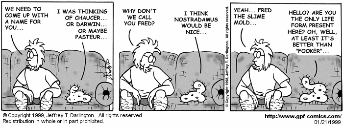 General Protection Fault