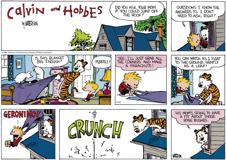 Calvin and Hobbes