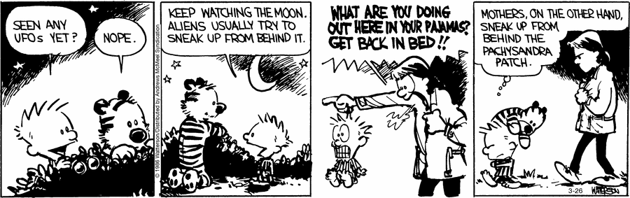 Calvin and Hobbes