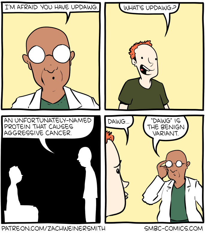 Saturday Morning Breakfast Cereal