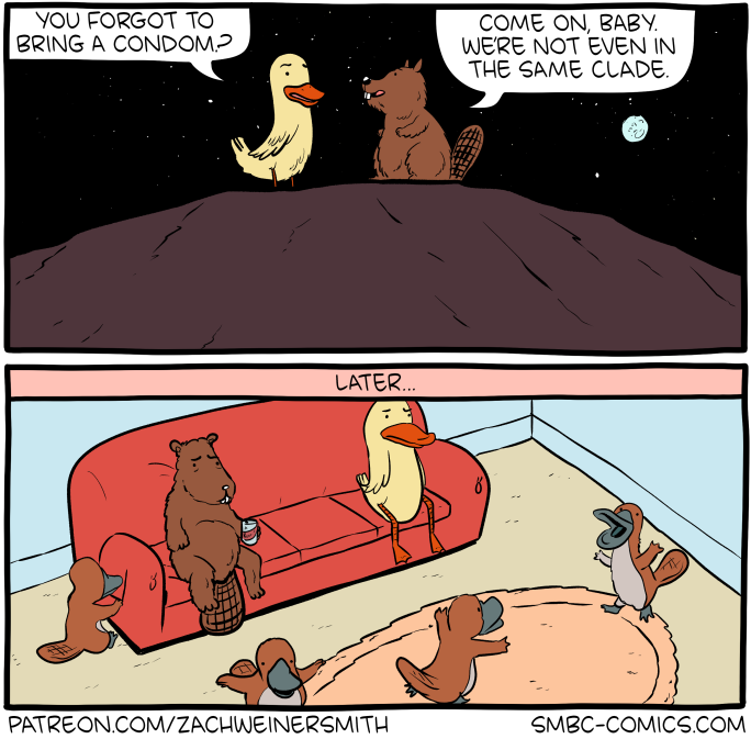 Saturday Morning Breakfast Cereal