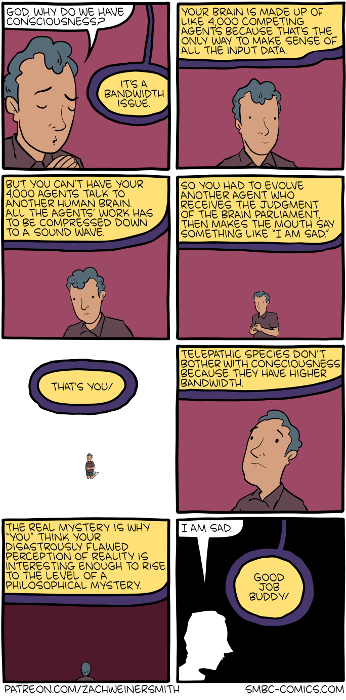 Saturday Morning Breakfast Cereal