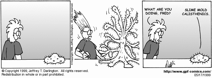 General Protection Fault