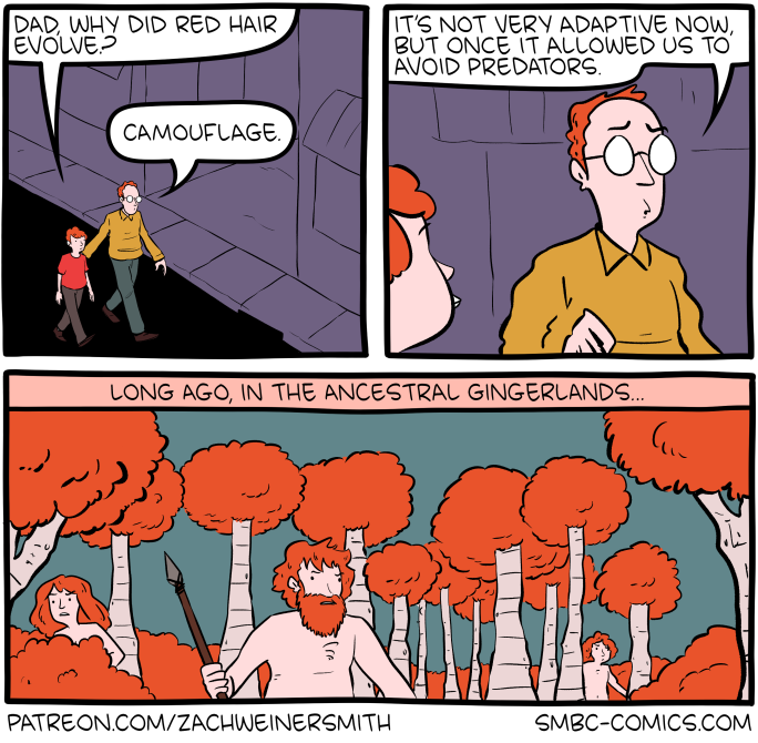 Saturday Morning Breakfast Cereal
