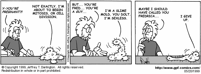 General Protection Fault