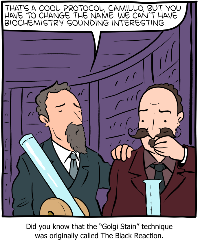 Saturday Morning Breakfast Cereal