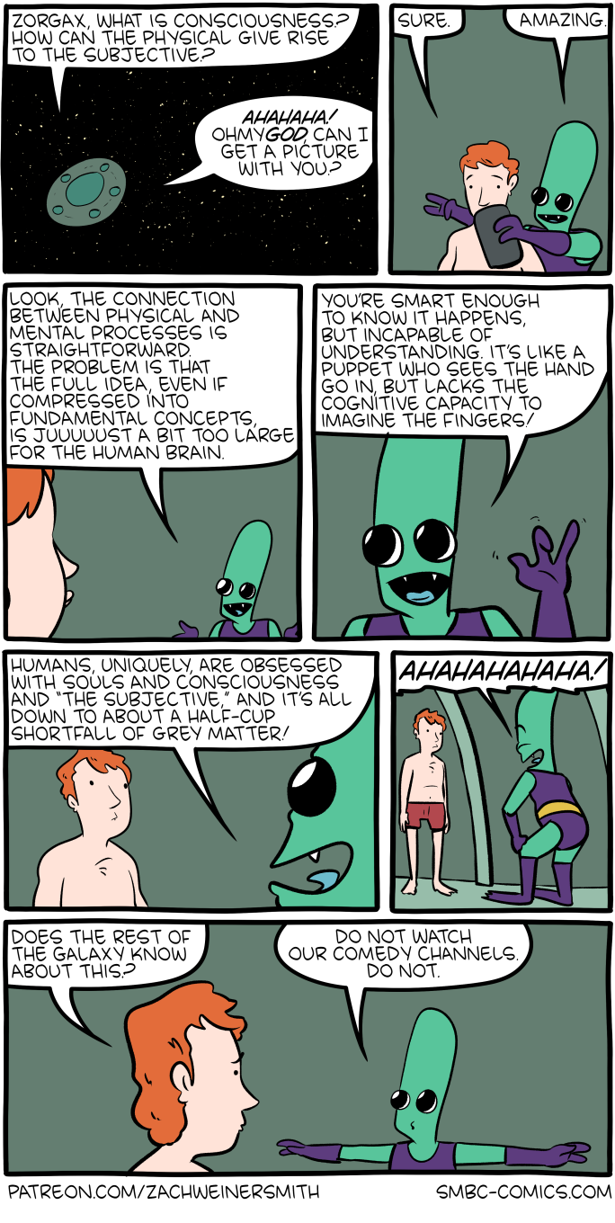 Saturday Morning Breakfast Cereal