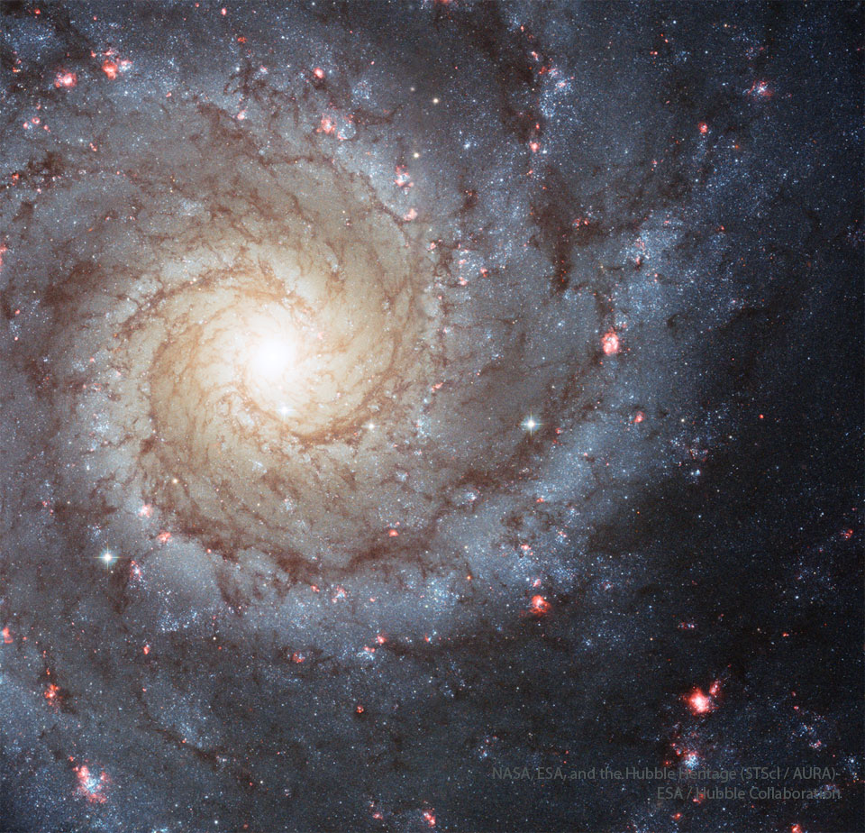 Astronomy Picture of the Day