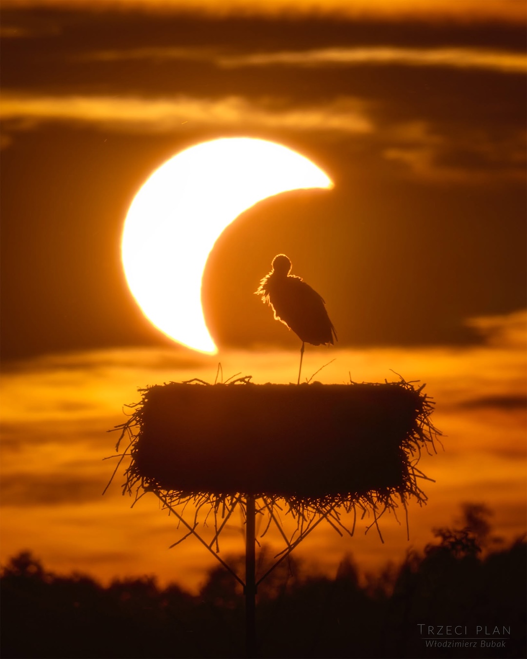 Astronomy Picture of the Day