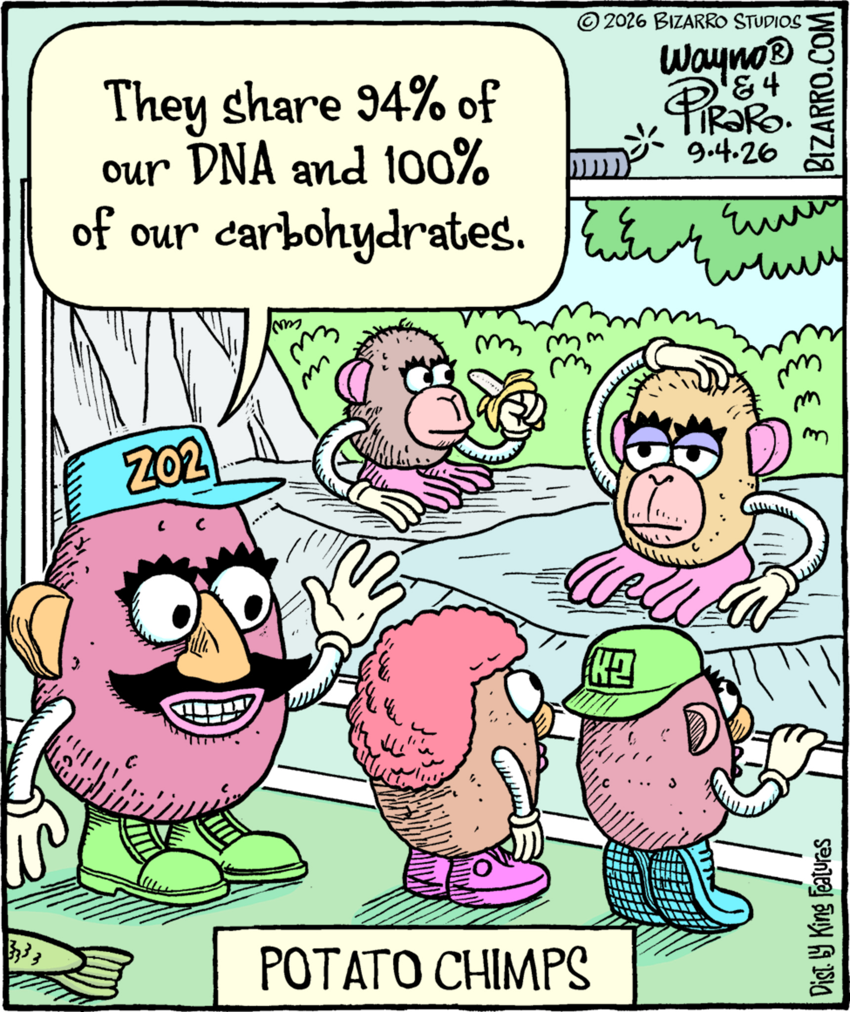 Bizarro